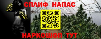 дмт Бузулук