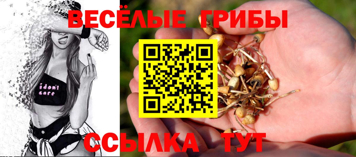 Псилоцибиновые грибы мухоморы Троицк