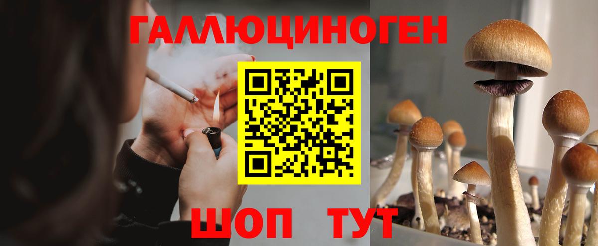 Псилоцибиновые грибы мицелий  Галлюциногенные грибы Psilocybine cubensis  Вход с VPN  купить наркотик  Троицк 