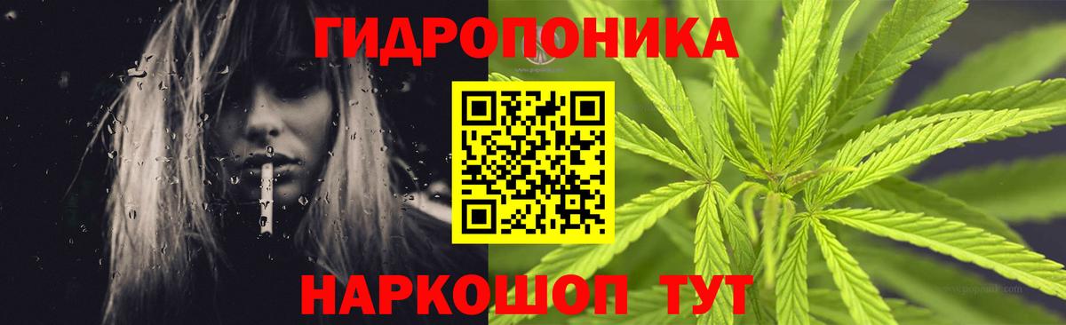 Бошки марихуана план Троицк